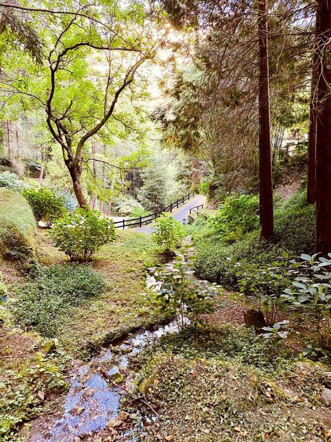 Il Bosco Di Campo Marzano Garden Apartments Borzonasca Eksteriør bilde