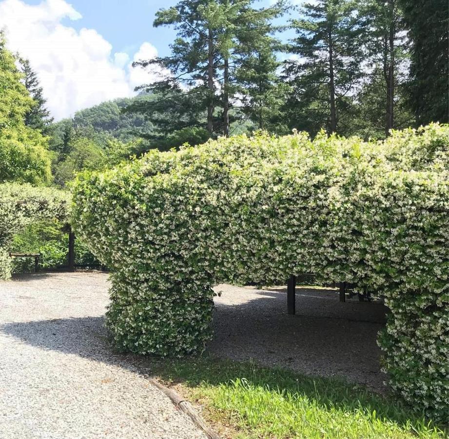Il Bosco Di Campo Marzano Garden Apartments Borzonasca Eksteriør bilde