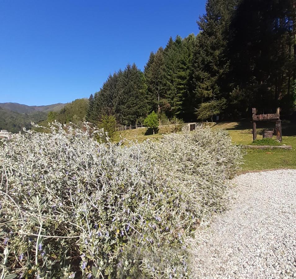 Il Bosco Di Campo Marzano Garden Apartments Borzonasca Eksteriør bilde