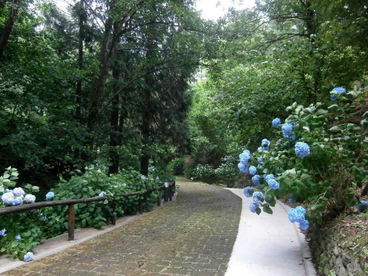 Il Bosco Di Campo Marzano Garden Apartments Borzonasca Eksteriør bilde